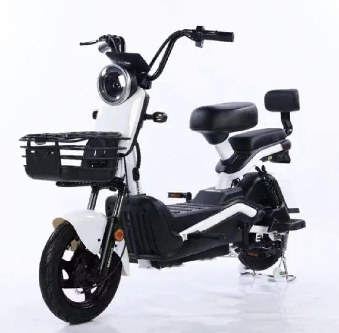 Electric scooter Shtenli Model 21 Performance